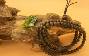 5102 tram huong la gi va cong dung cua tram huong 12010230042019